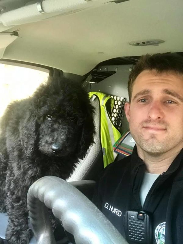 Danny doing his job with a black poodle